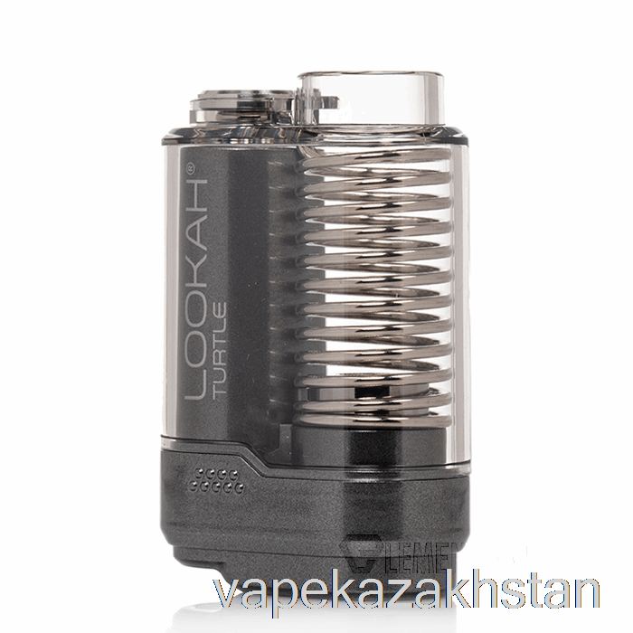 Vape Kazakhstan Lookah Turtle 510 Battery Grey